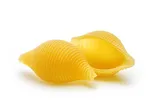MİDYE — Shell